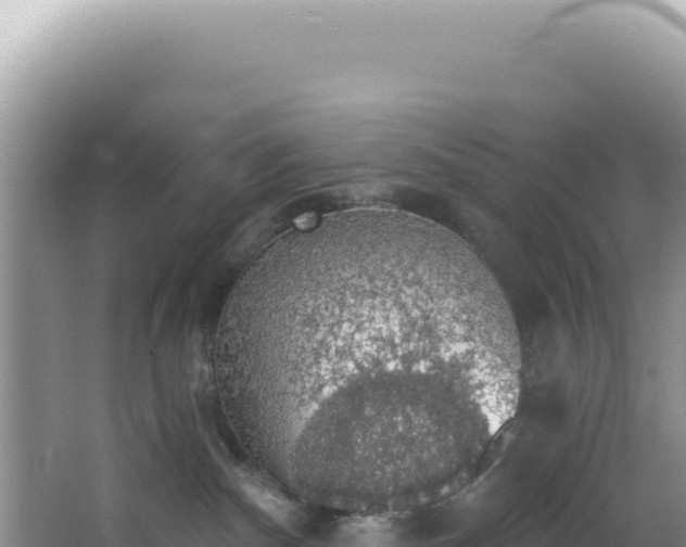 X0000064740140200602131326