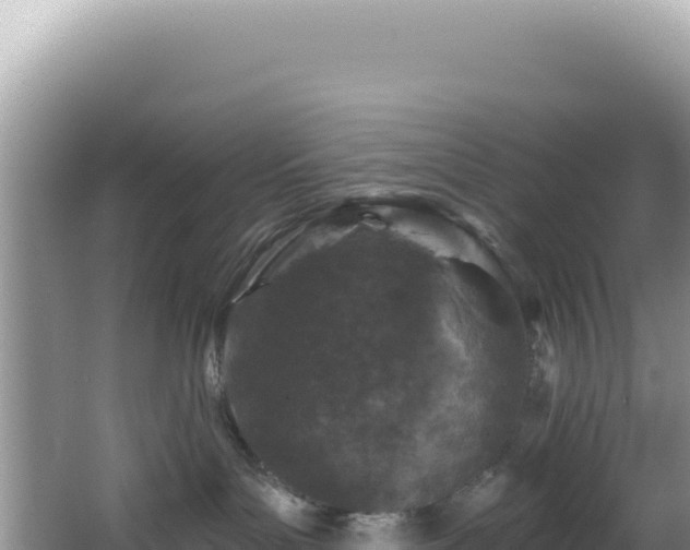 X0000064740143200602131326