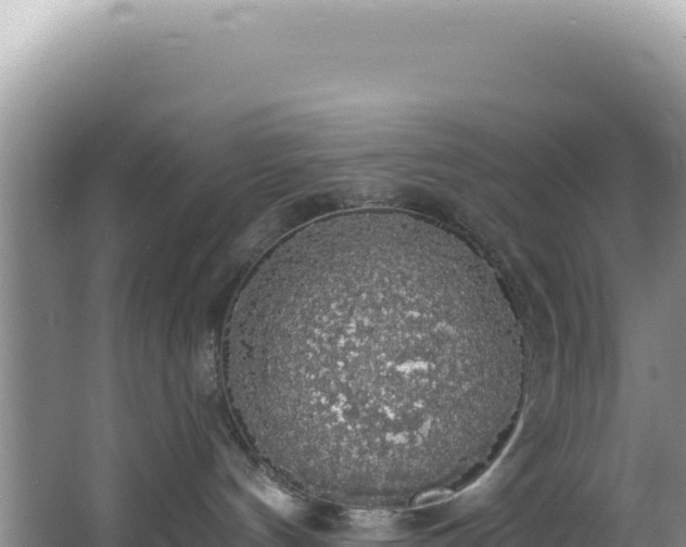 X0000064740144200602131326