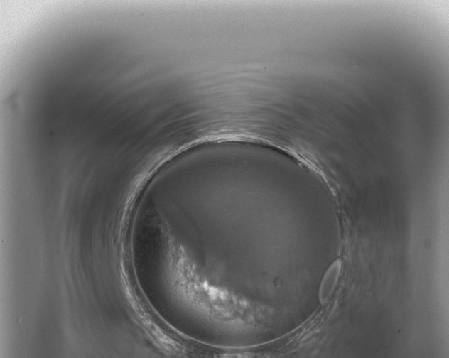 X0000064740145200602131325