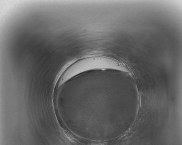 X0000064740147200602131325