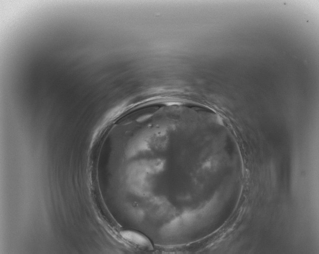 X0000064740149200602131325