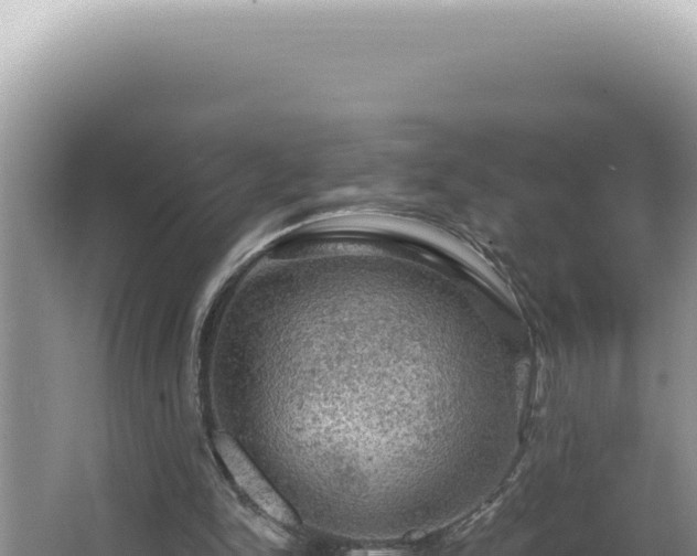 X0000064740150200602131325