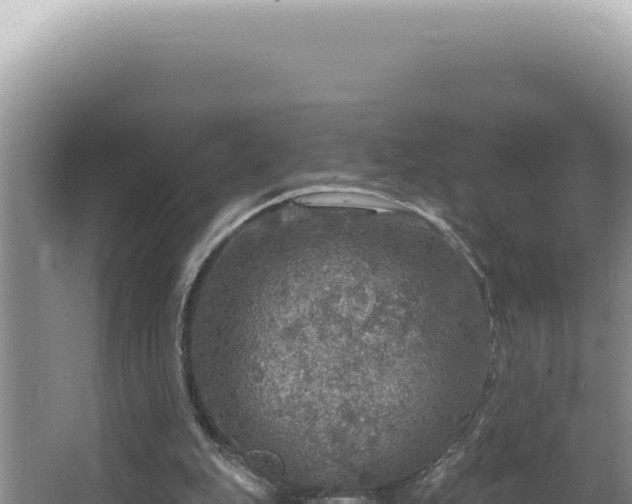 X0000064740151200602131325