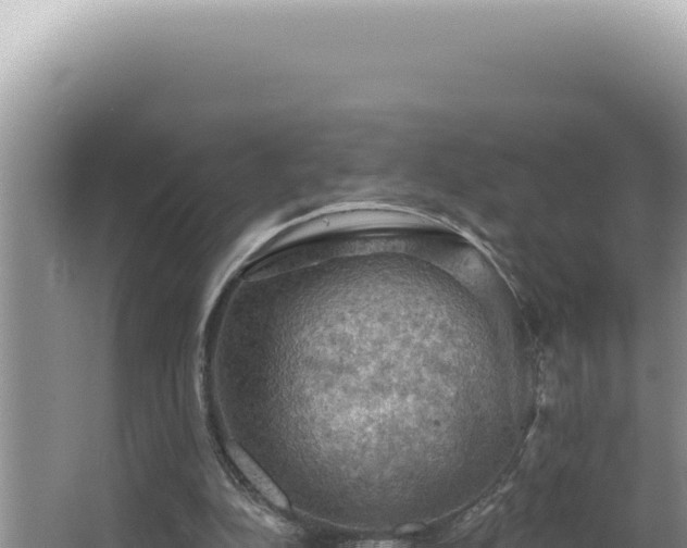 X0000064740152200602131325