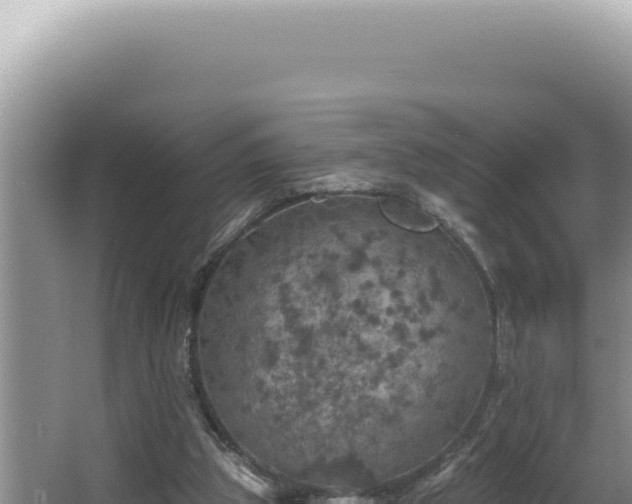 X0000064740153200602131325