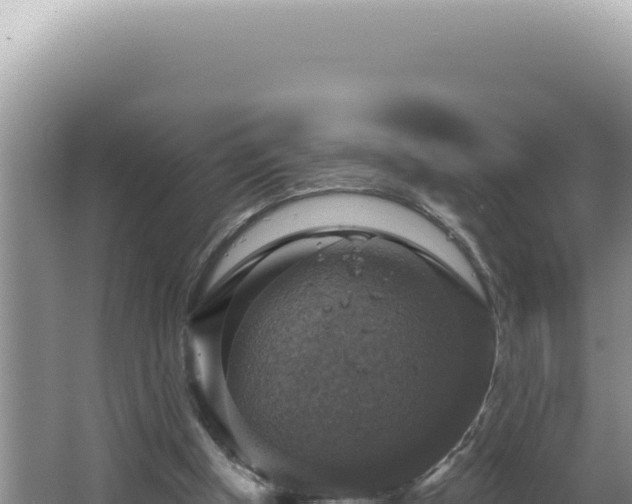 X0000064740154200602131325