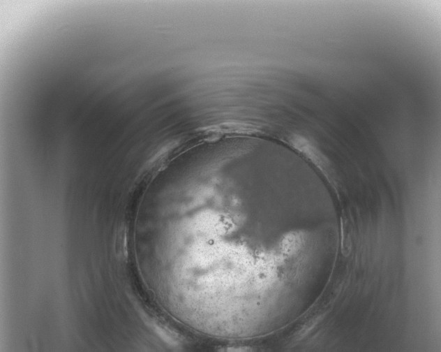 X0000064740157200602131325