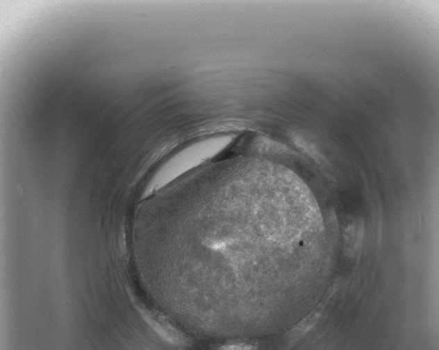 X0000064740158200602131325