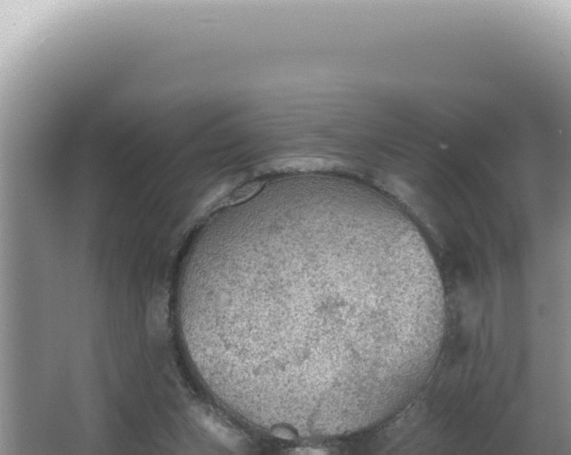 X0000064740159200602131325