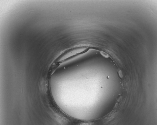 X0000064740160200602131325