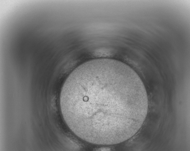 X0000064740162200602131325