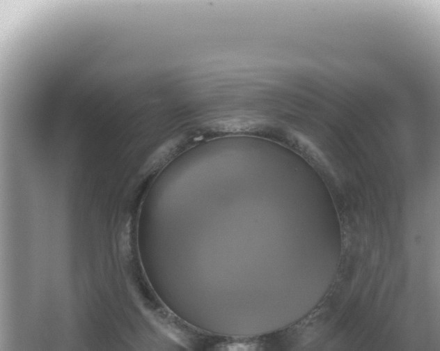 X0000064740163200602131325