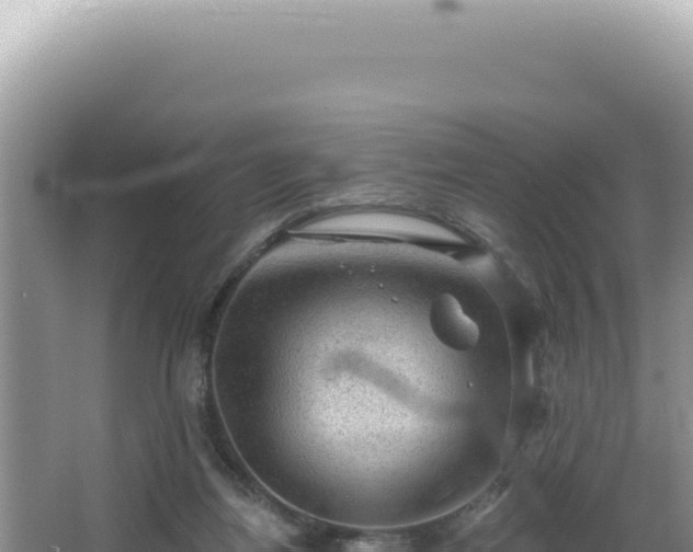 X0000064740164200602131325