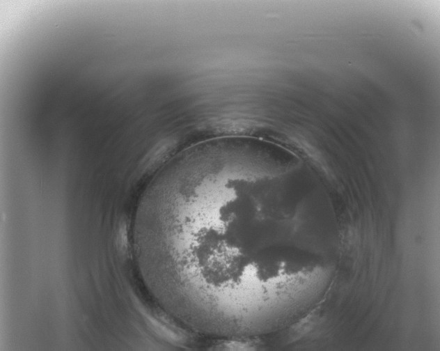 X0000064740166200602131325