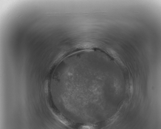 X0000064740167200602131325