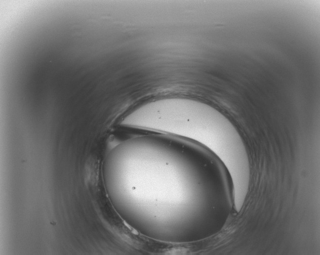 X0000064740168200602131325