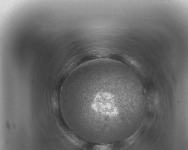 X0000064740170200602131325