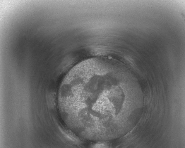 X0000064740171200602131325