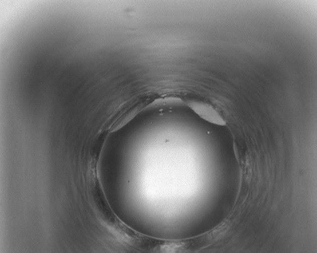 X0000064740172200602131325