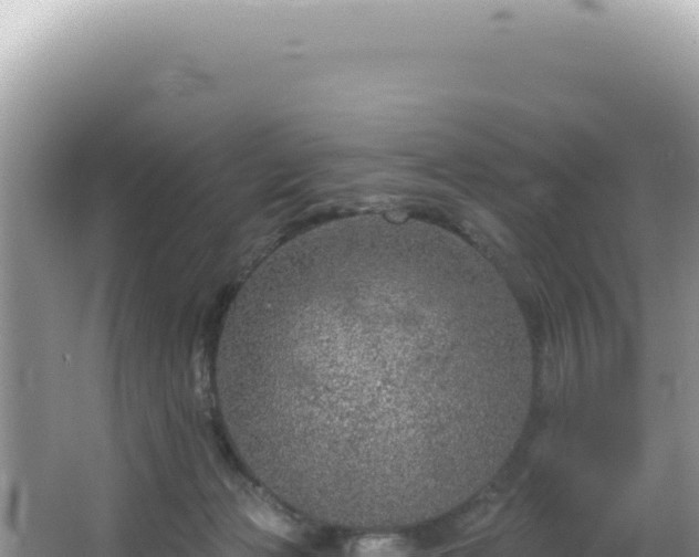 X0000064740173200602131325