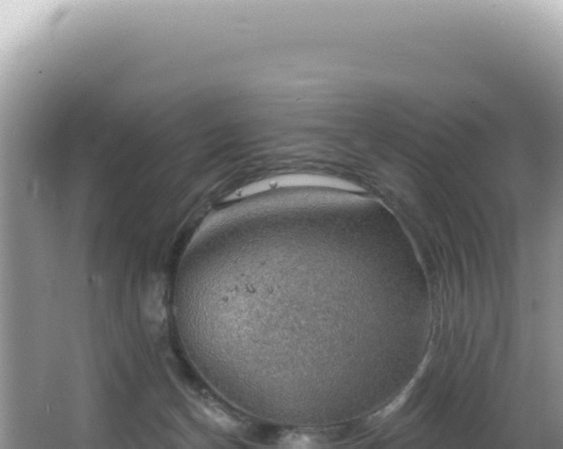 X0000064740174200602131325