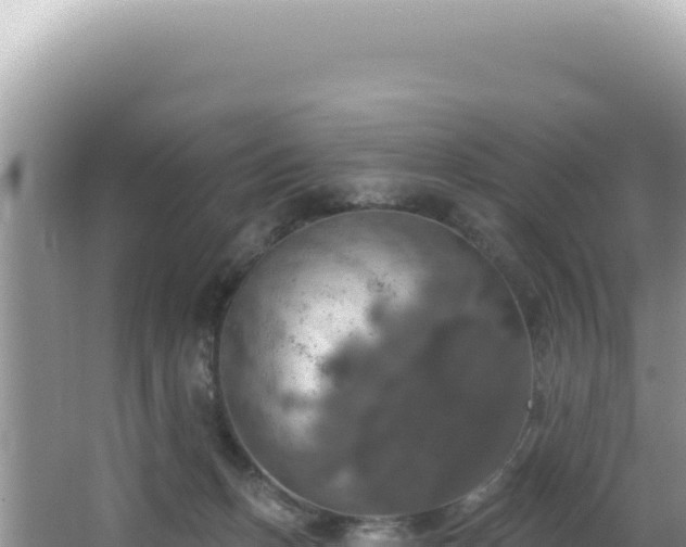 X0000064740175200602131325