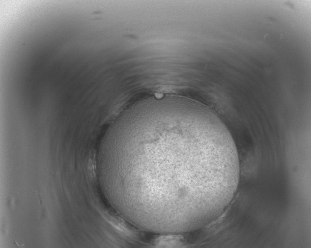 X0000064740179200602131325