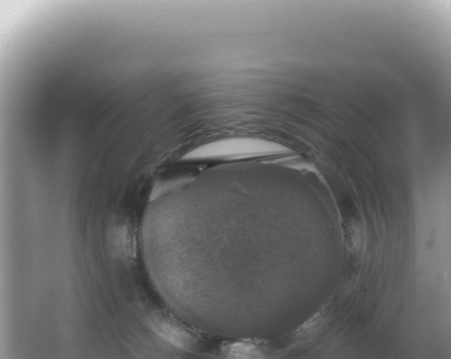 X0000064740180200602131325