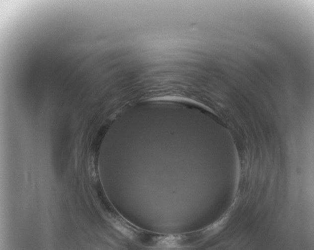 X0000064740182200602131325