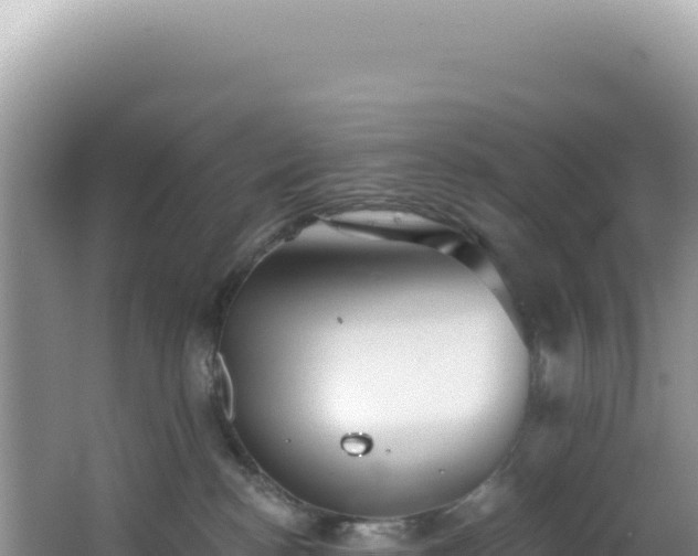 X0000064740188200602131326