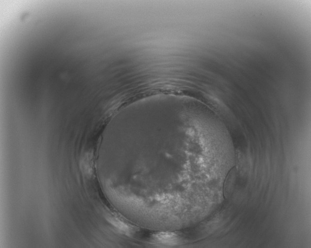 X0000064740189200602131326