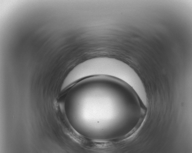 X0000064740190200602131326