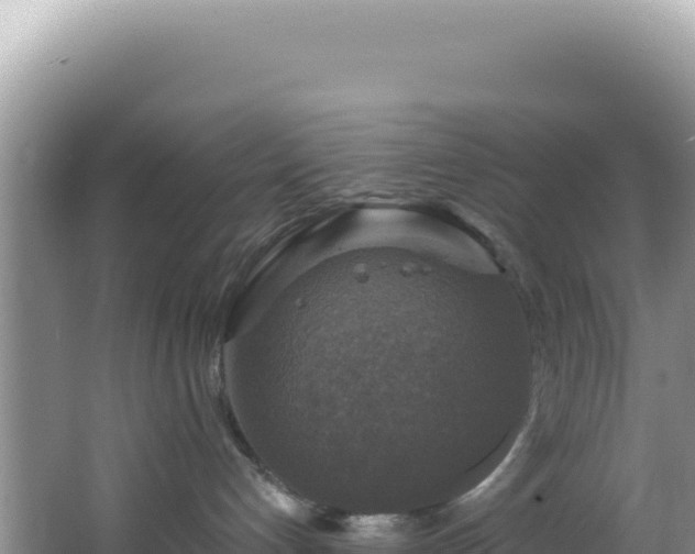 X0000064740192200602131326