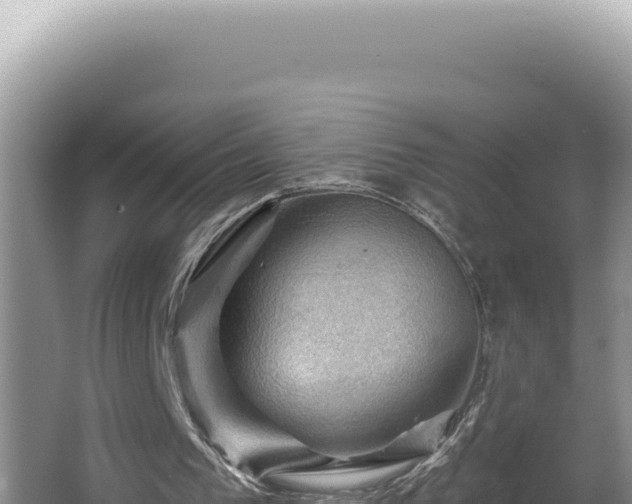 X0000064740193200602131325