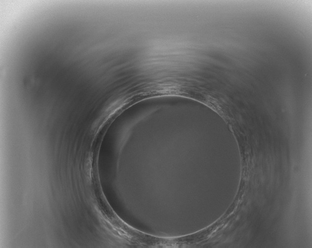 X0000064740194200602131325