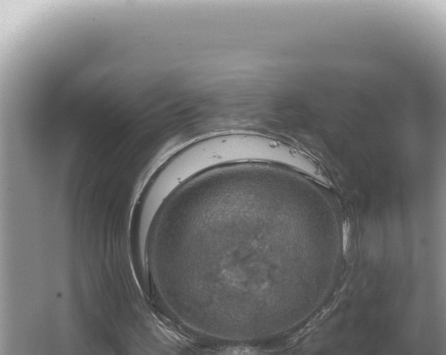 X0000064740195200602131325