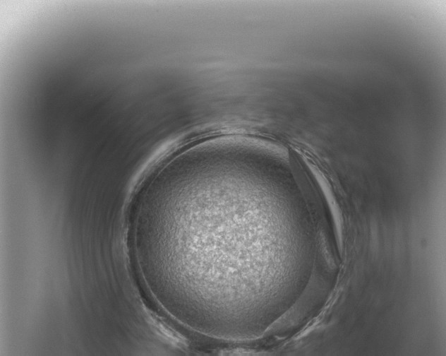 X0000064740197200602131325