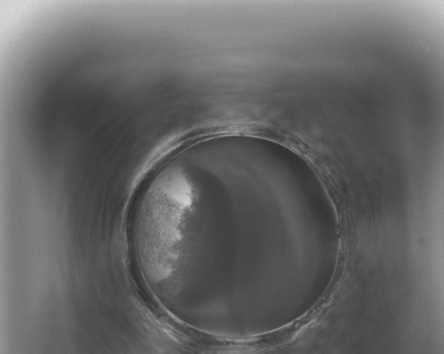 X0000064740198200602131325