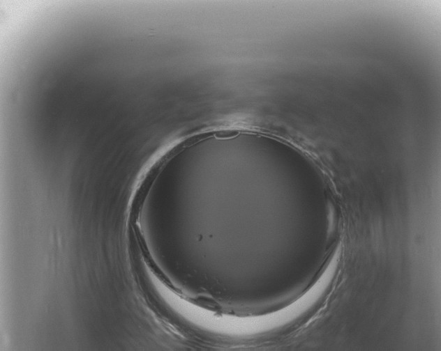 X0000064740200200602131325