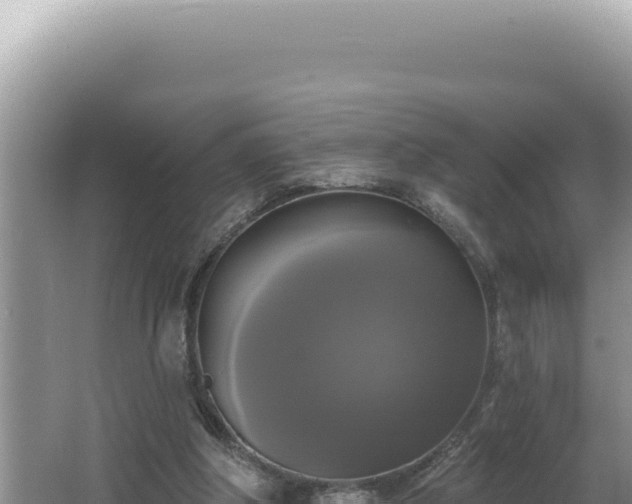 X0000064740202200602131325