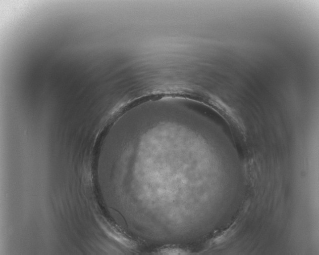 X0000064740203200602131325