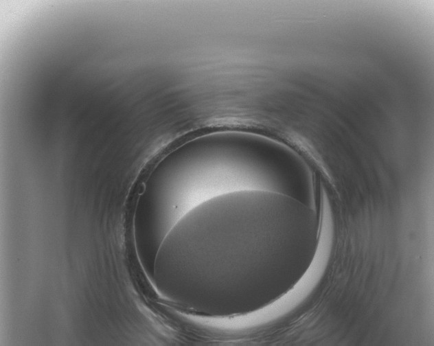 X0000064740204200602131325