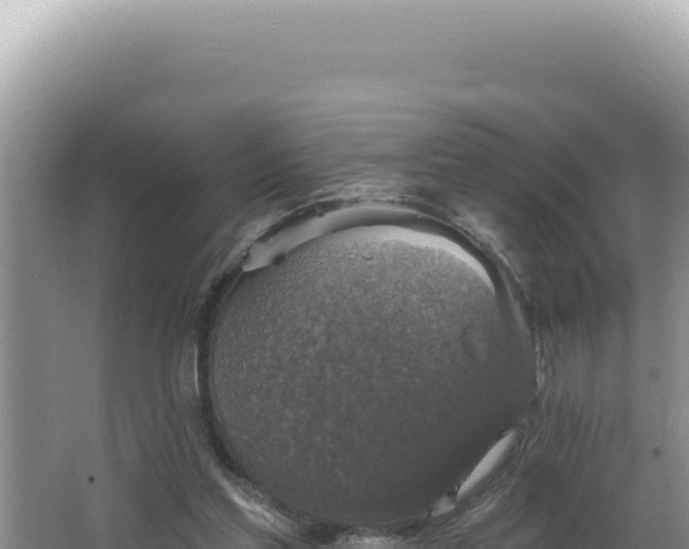 X0000064740205200602131325