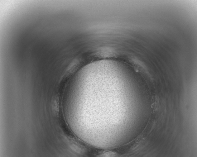 X0000064740210200602131325