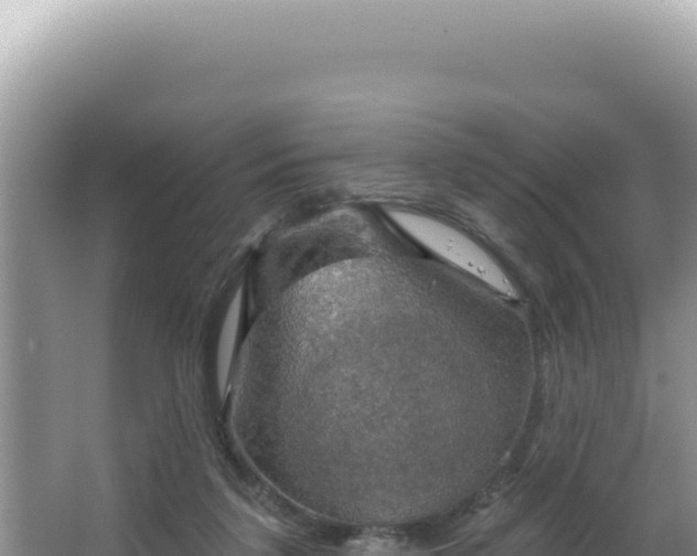 X0000064740211200602131325