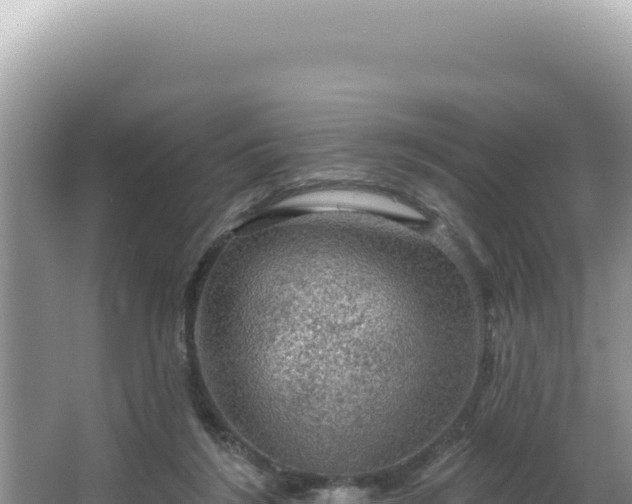 X0000064740212200602131324