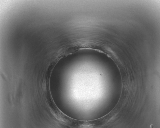 X0000064740213200602131324