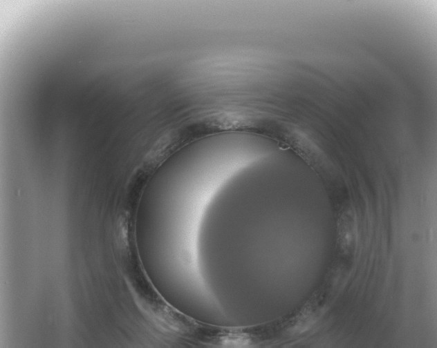 X0000064740214200602131324