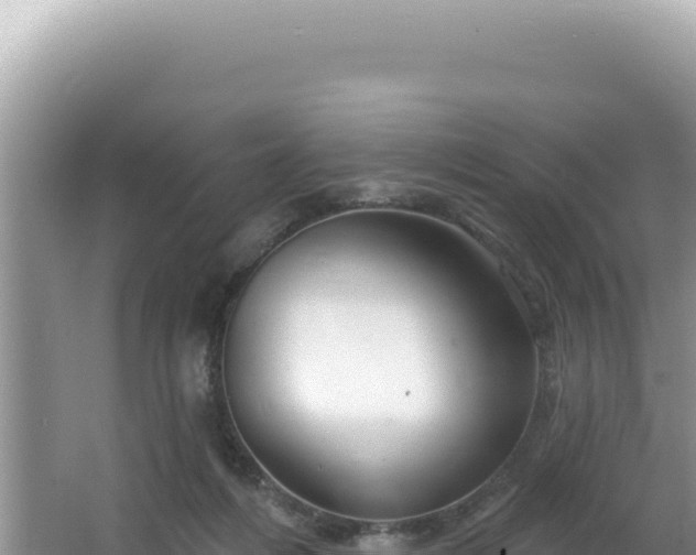 X0000064740216200602131324